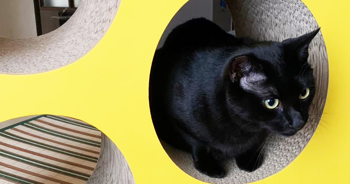 長男｜ぺーやん