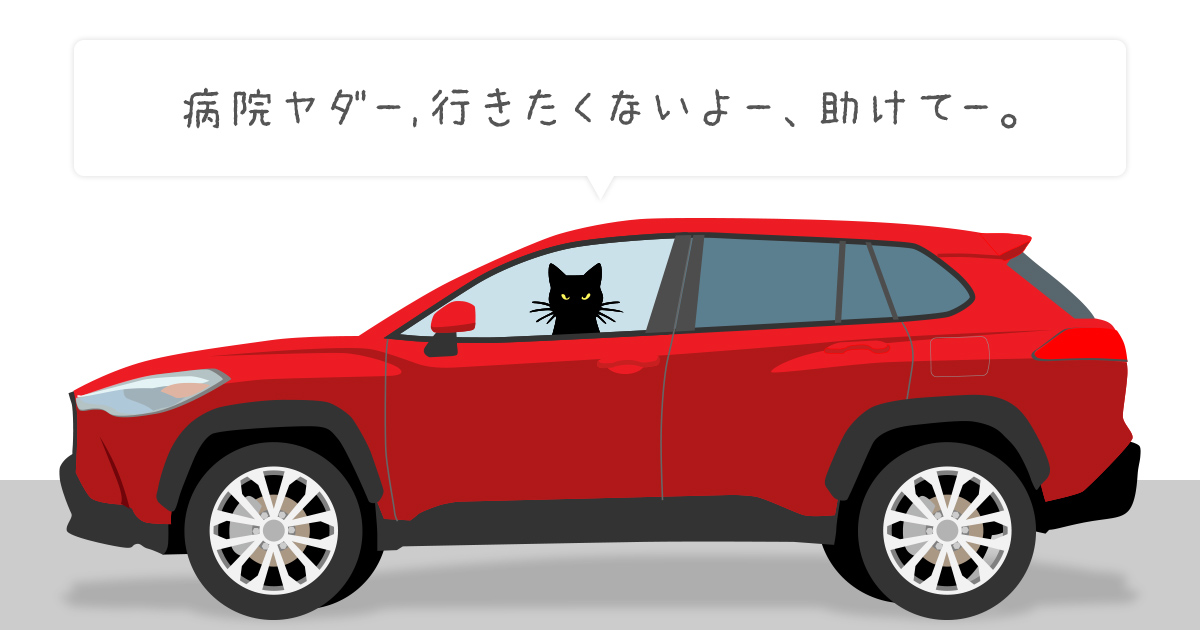 母猫、病院へ連れていく